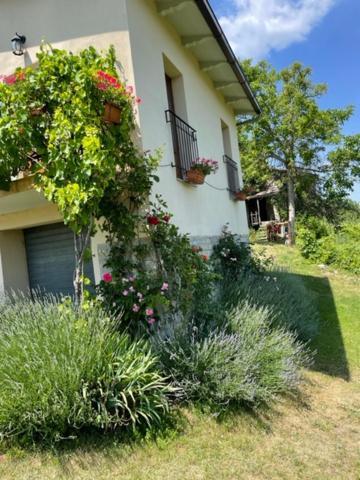Casa Della Luna Badia Tedalda エクステリア 写真